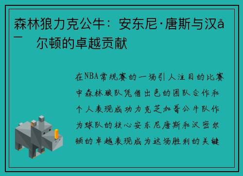 森林狼力克公牛：安东尼·唐斯与汉密尔顿的卓越贡献